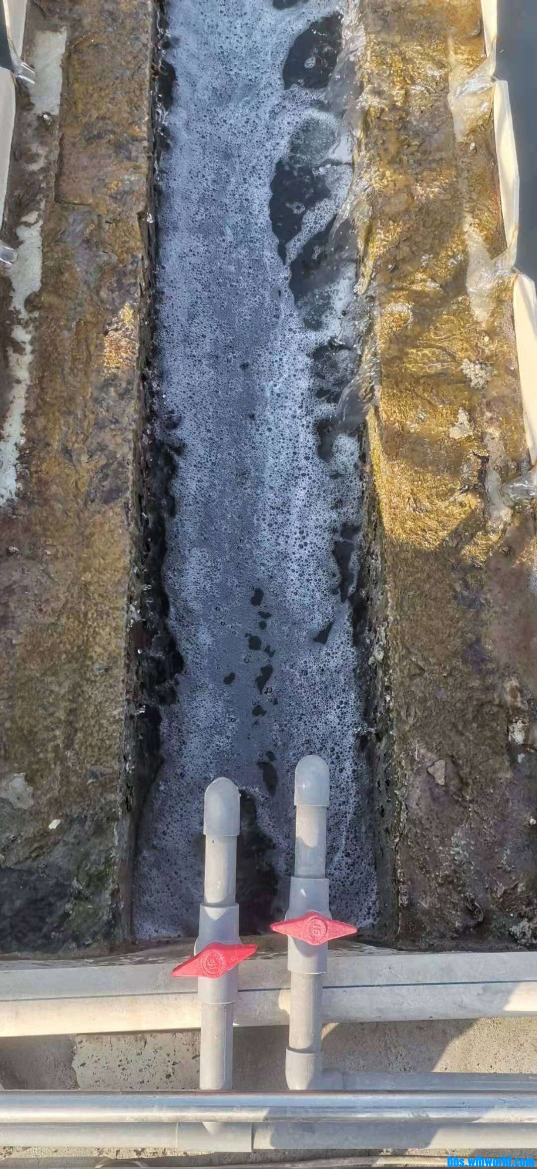 wechat_upload16096360345ff118c2c8841