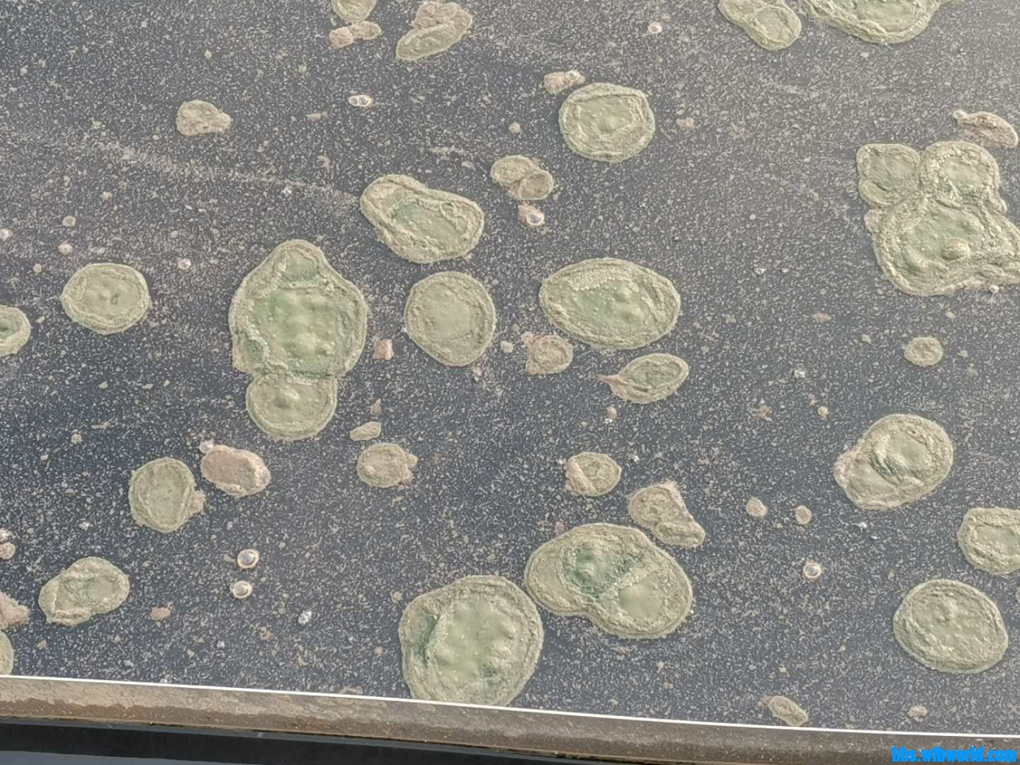 wechat_upload16097247505ff2734ea8111