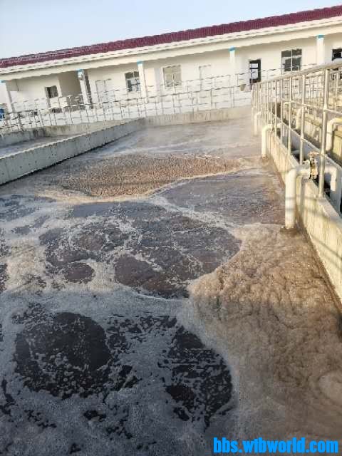 wechat_upload16099167855ff561714038d