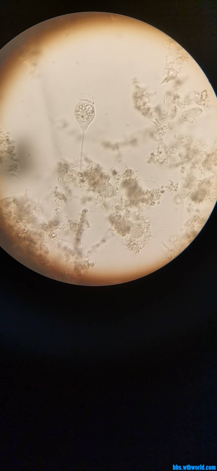 wechat_upload16117187906010e0866fede