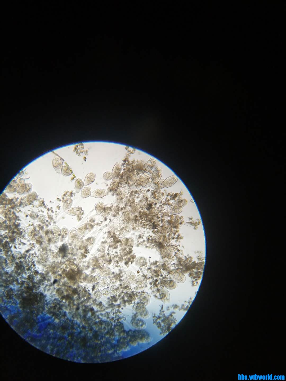 wechat_upload16118377716012b14b9ad2e