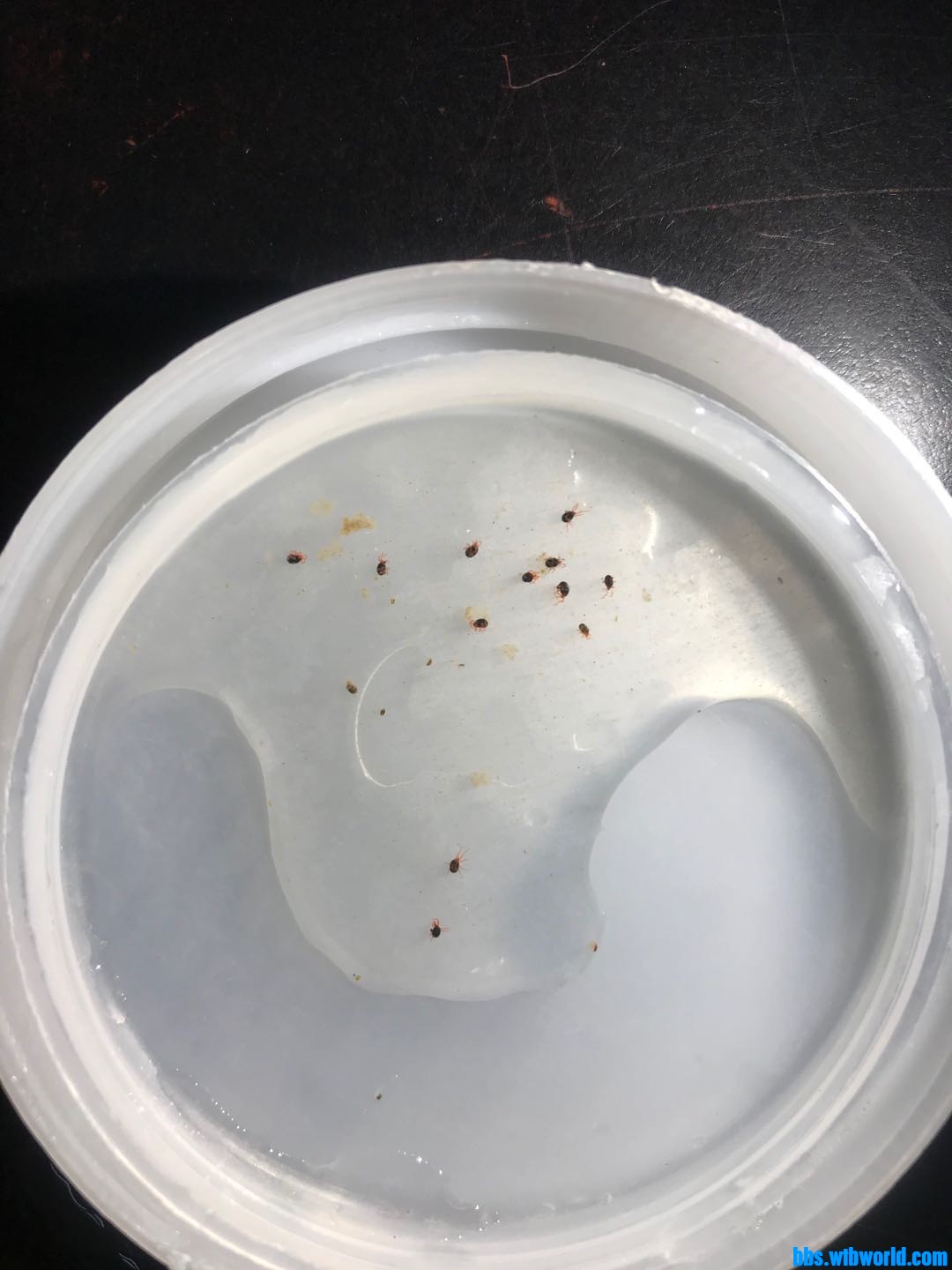 wechat_upload1612606704601e6cf096edd