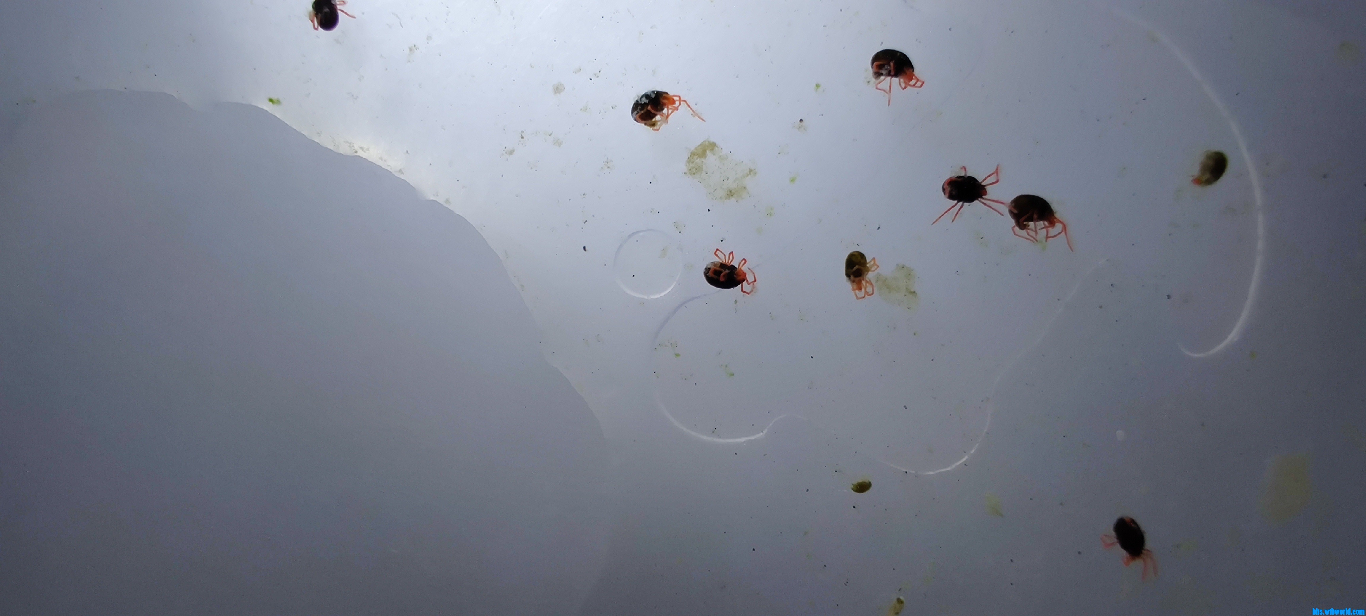 wechat_upload1612606926601e6dcecdb5b