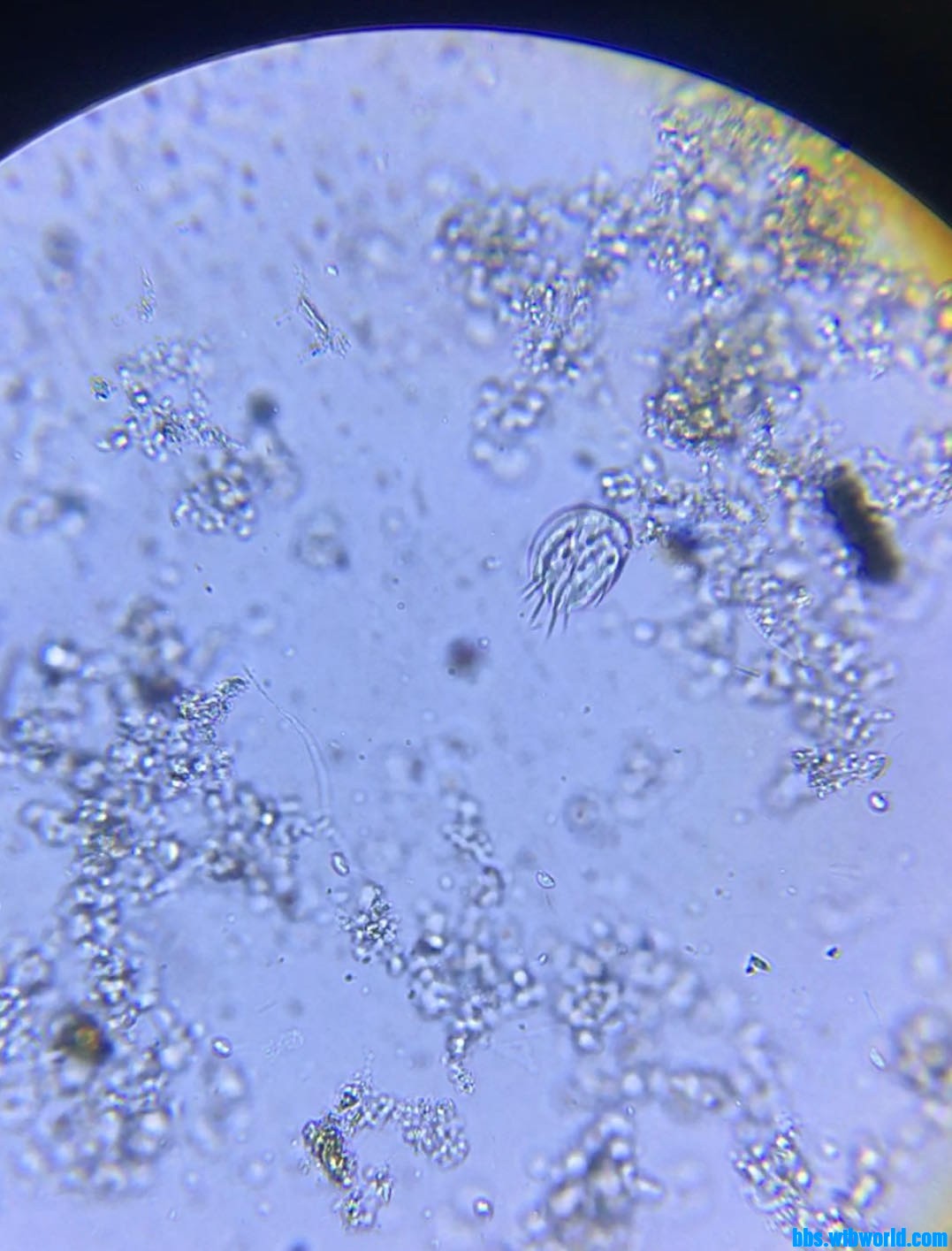 wechat_upload16151758036045a07be7546