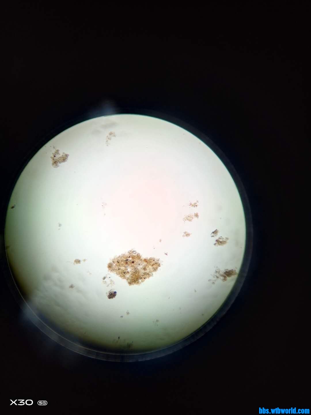 wechat_upload16152868266047522a41ed7