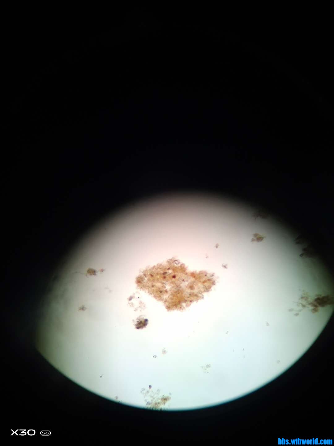 wechat_upload16152868266047522a6c6b9