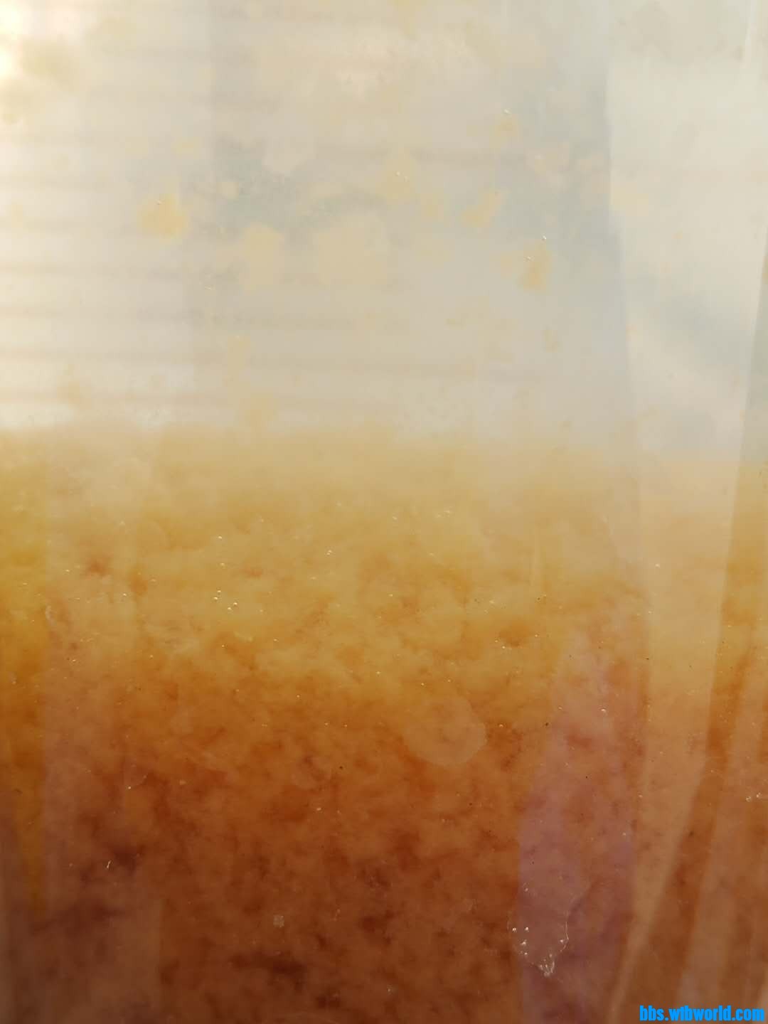 wechat_upload1616749824605da5008a37c