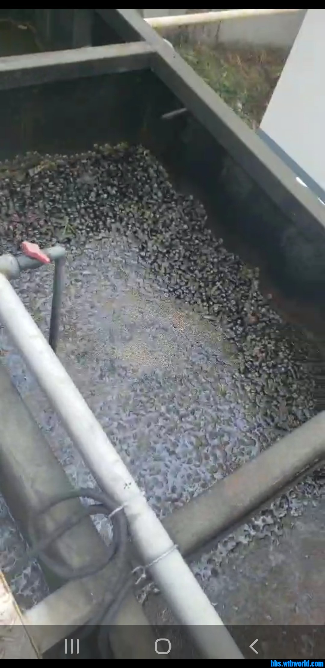 wechat_upload16190535526080cbf0975bb