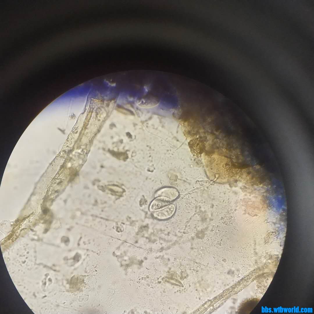 wechat_upload1620011091608f6853b49d5