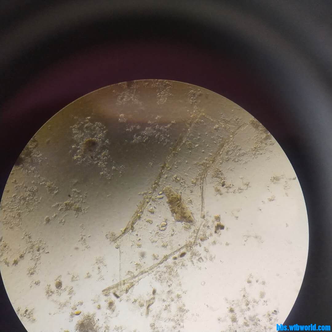 wechat_upload1620011091608f685353e9e