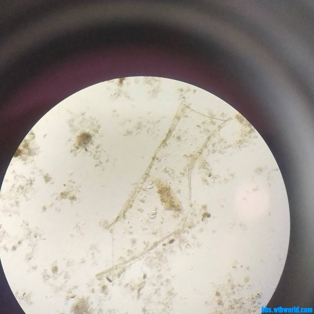 wechat_upload1620011091608f68531cb22