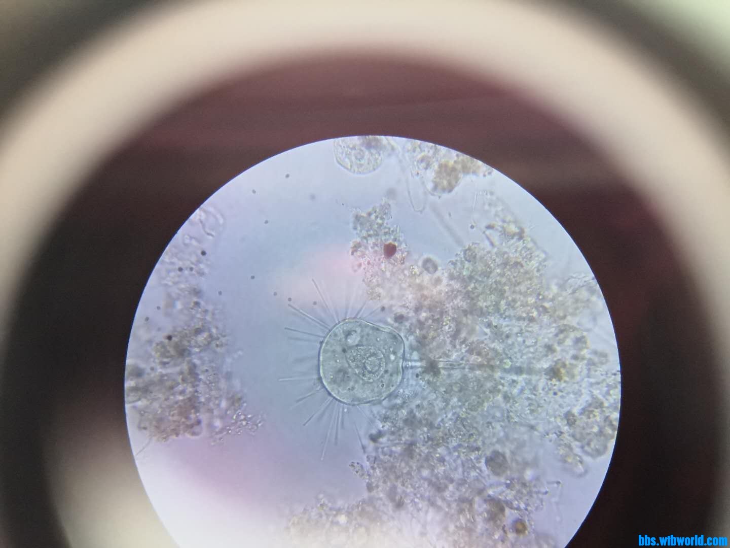 wechat_upload16201998076092497f1ab6a