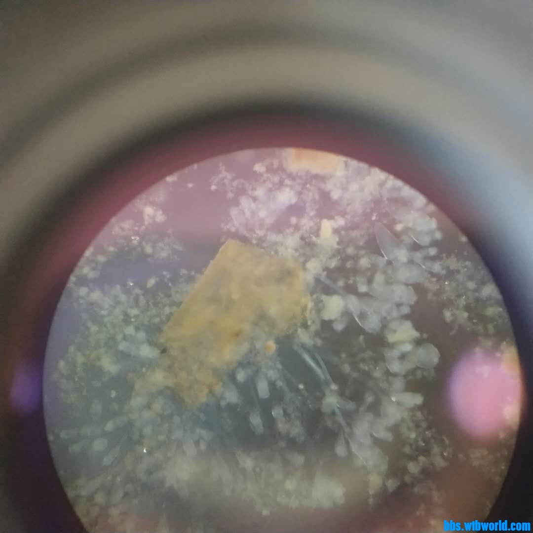 wechat_upload16202015886092507401f08