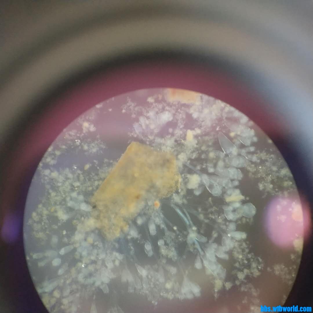 wechat_upload1620201588609250743657b