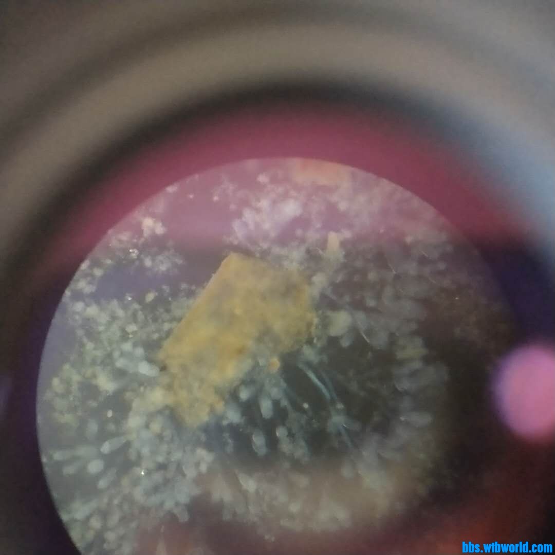 wechat_upload1620201588609250746dcc0