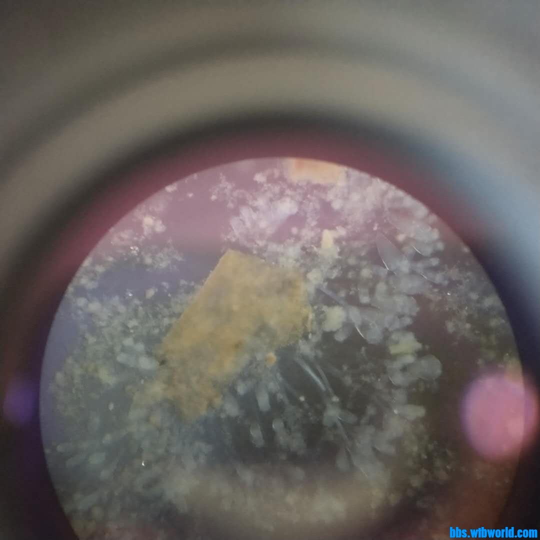 wechat_upload162020158860925074a8501