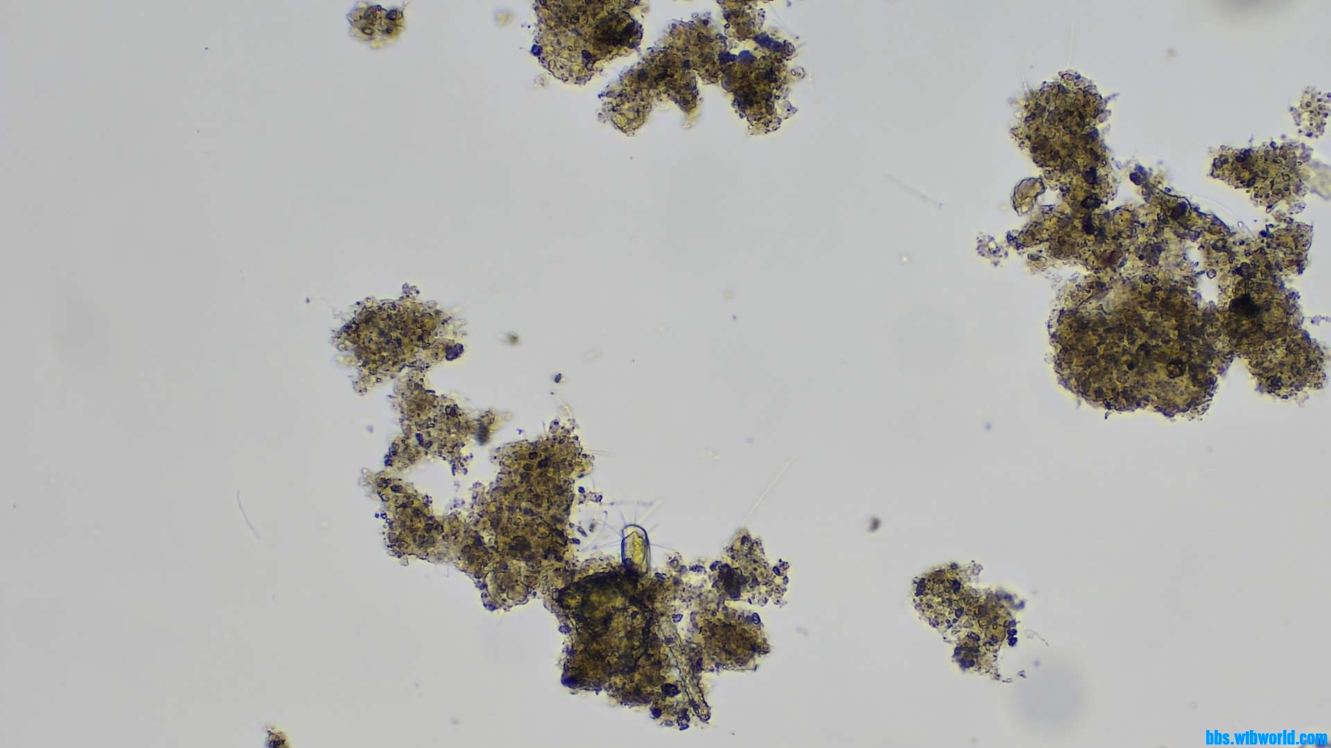 wechat_upload16206321016098e22570687