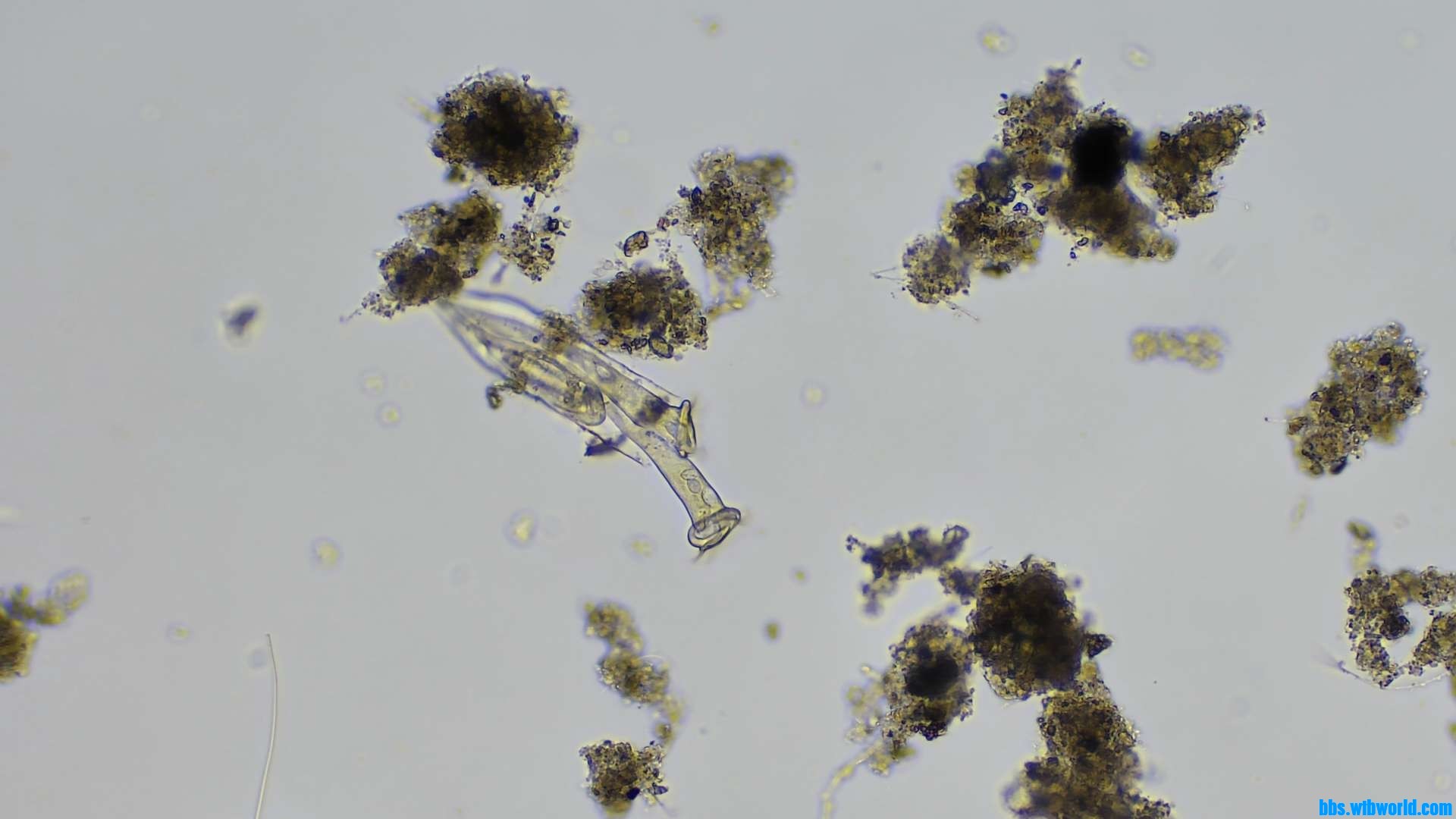 wechat_upload16206321016098e225bfb61