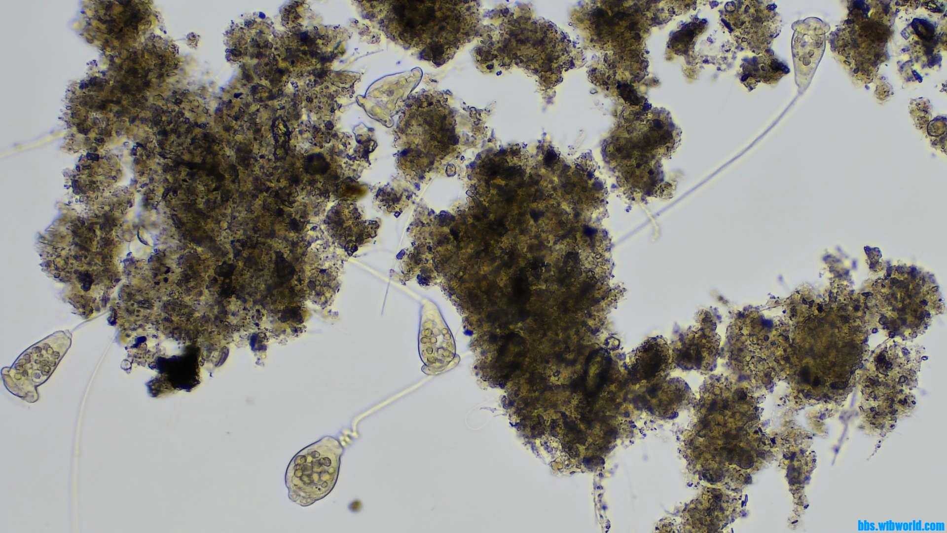 wechat_upload16206321016098e2251e174