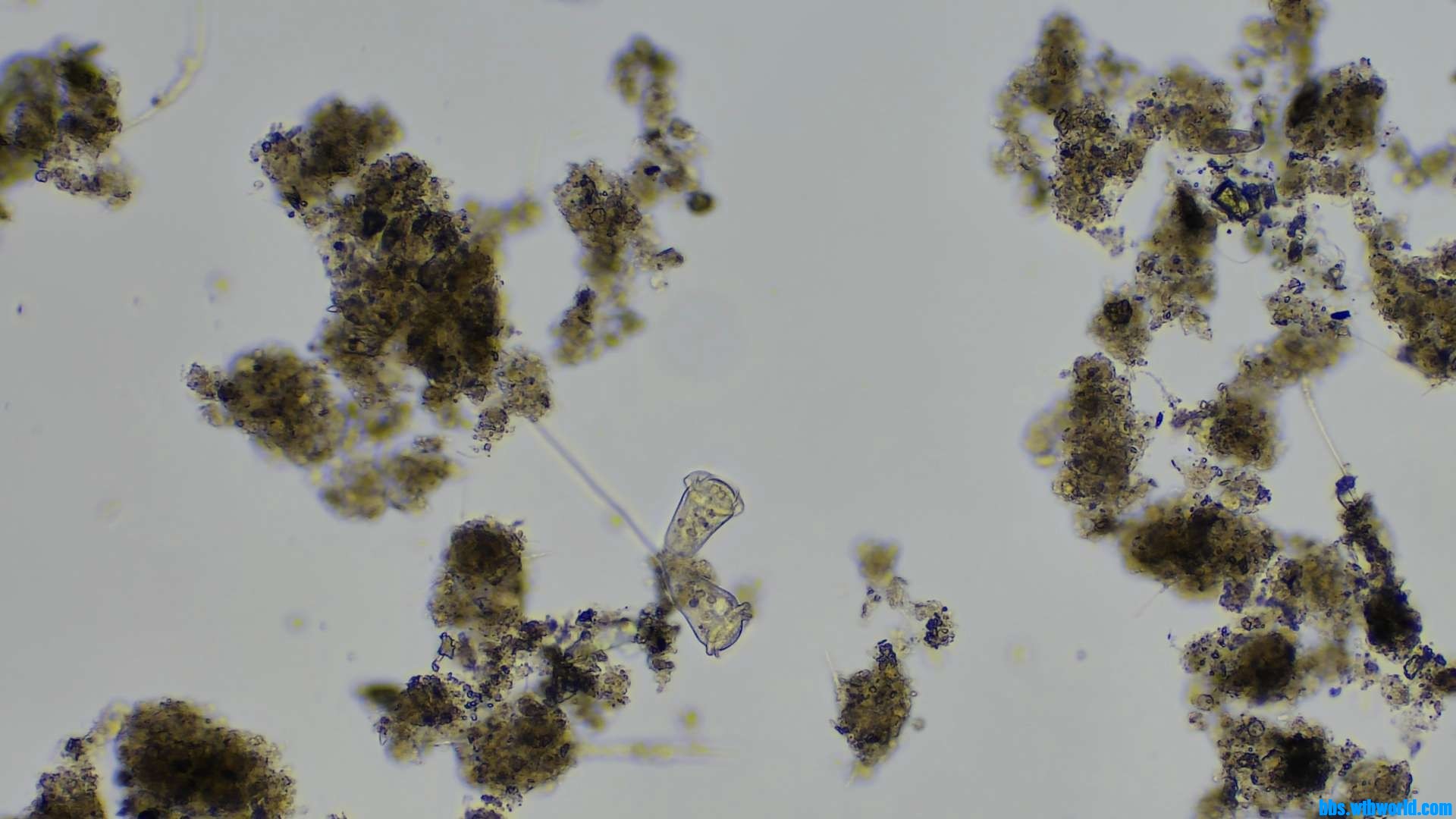 wechat_upload16206321026098e22671946