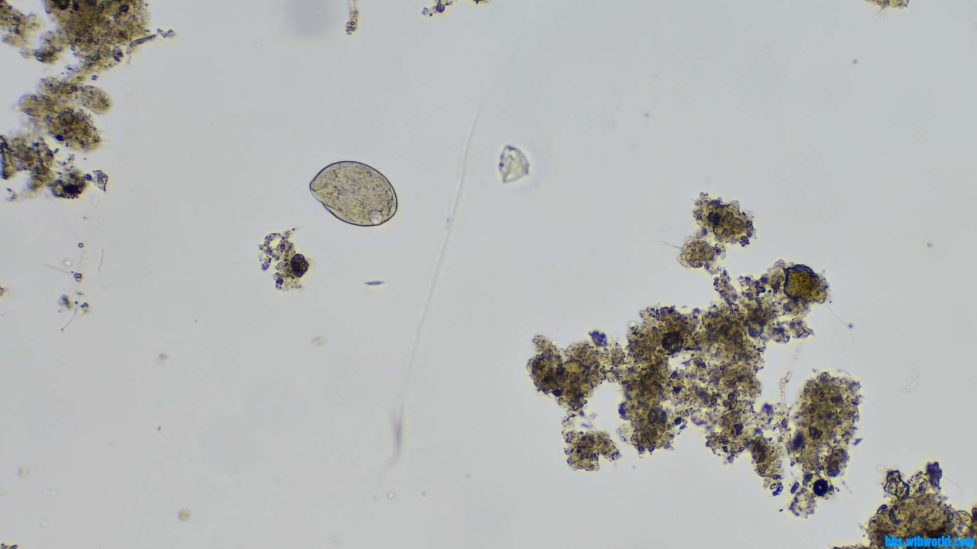 wechat_upload16206321026098e226bde10