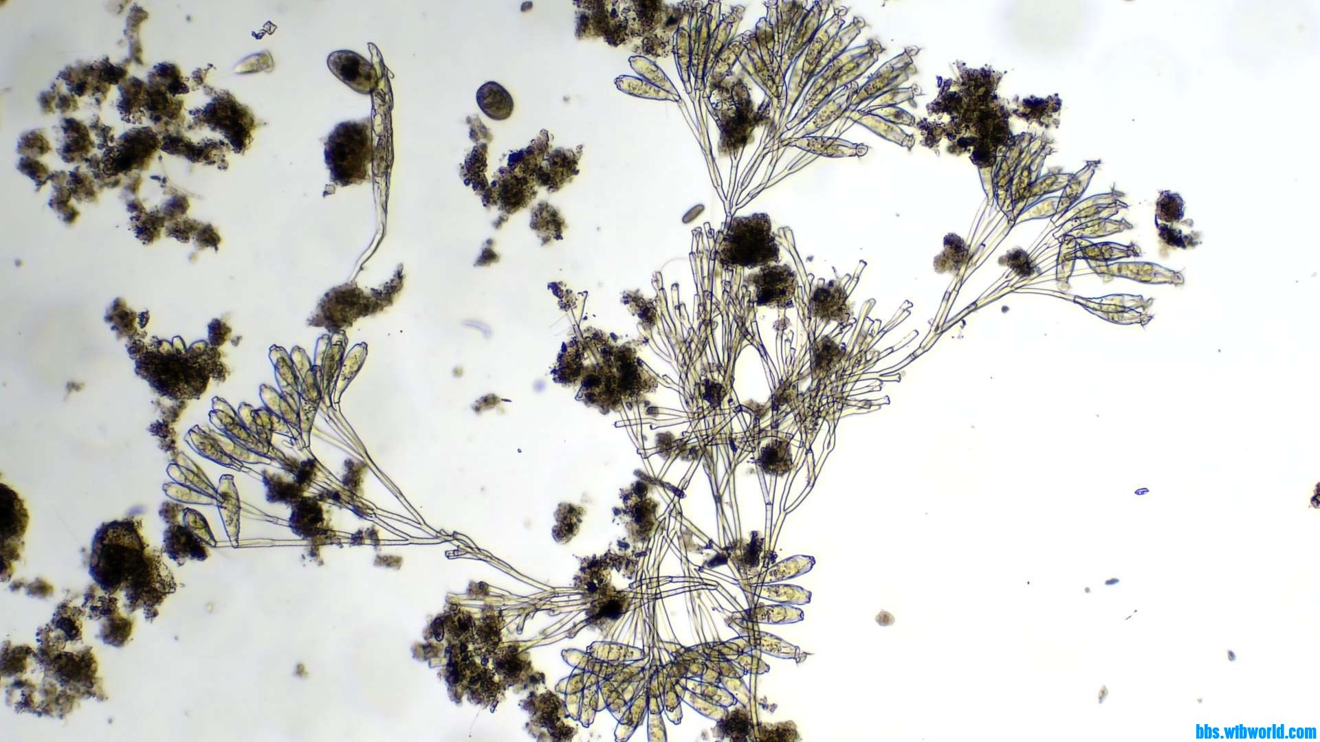 wechat_upload16206321036098e227116d3