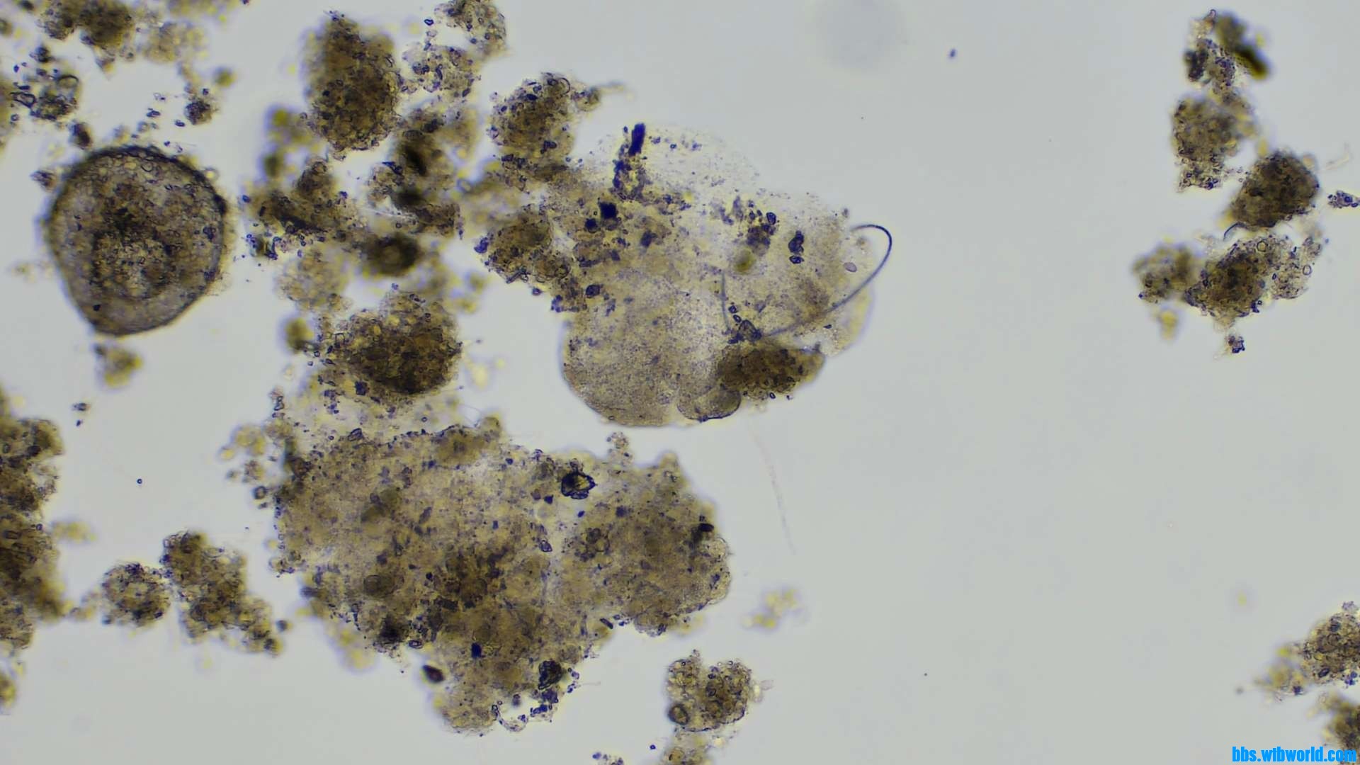 wechat_upload16206321036098e2275f170