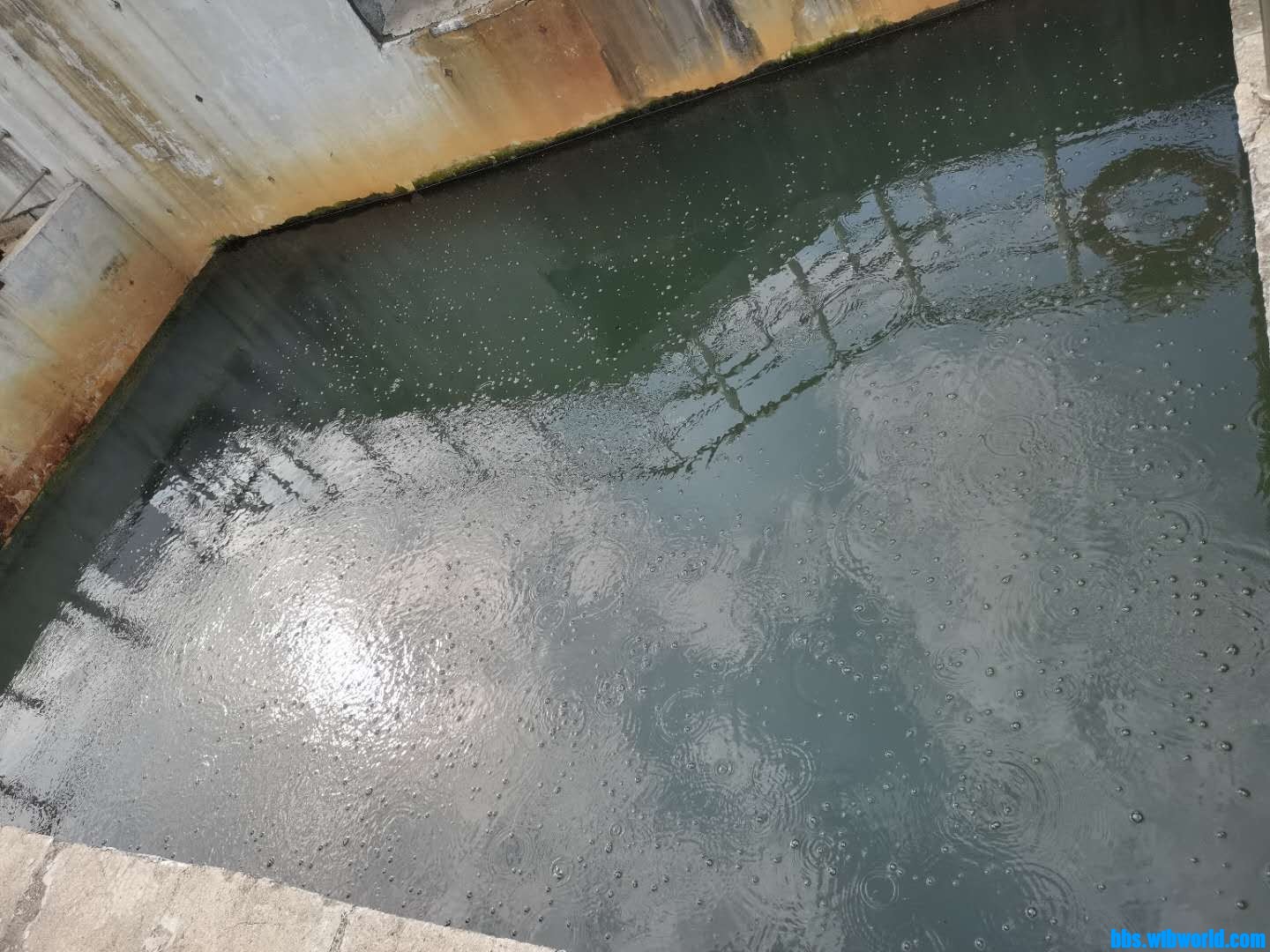 wechat_upload162631000360ef8573e53ab