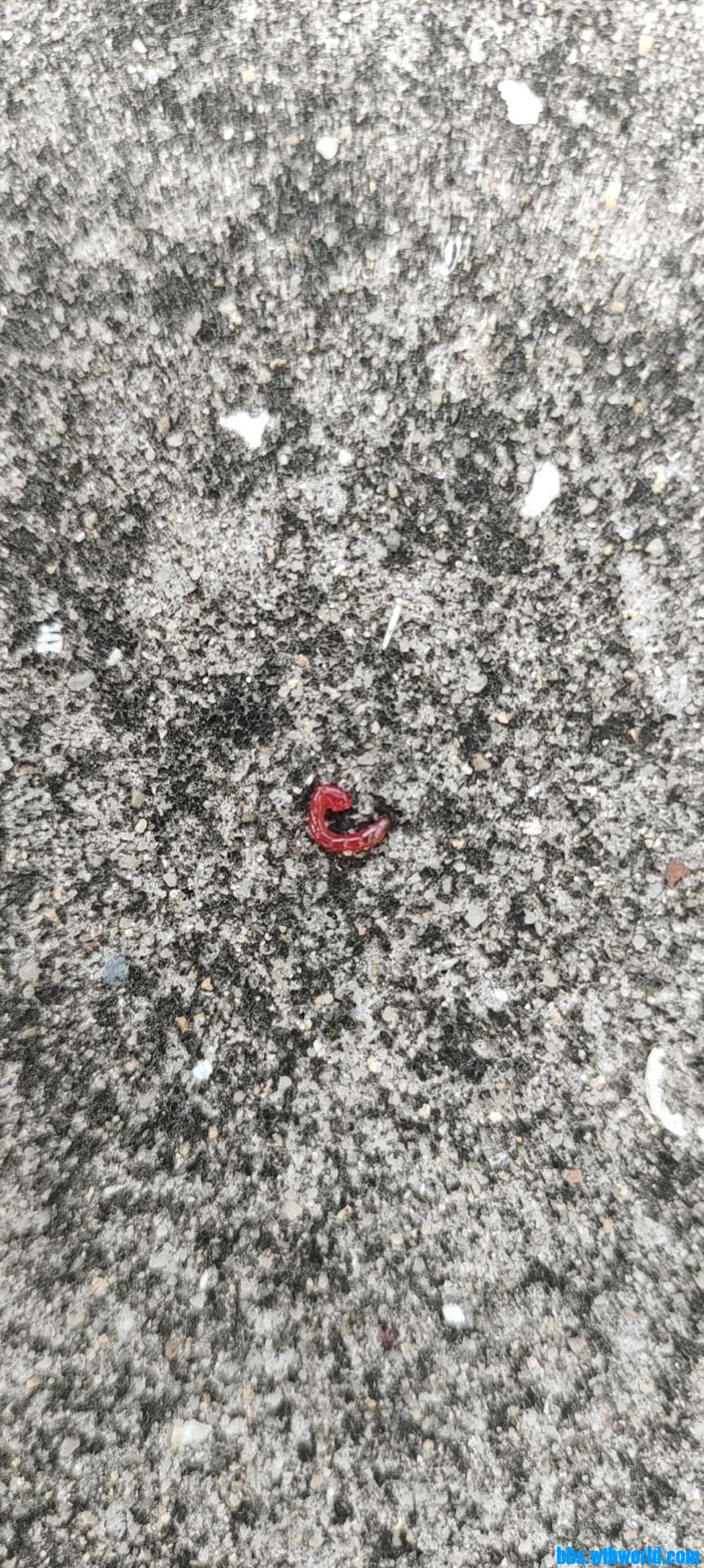 wechat_upload162649379360f253610be98