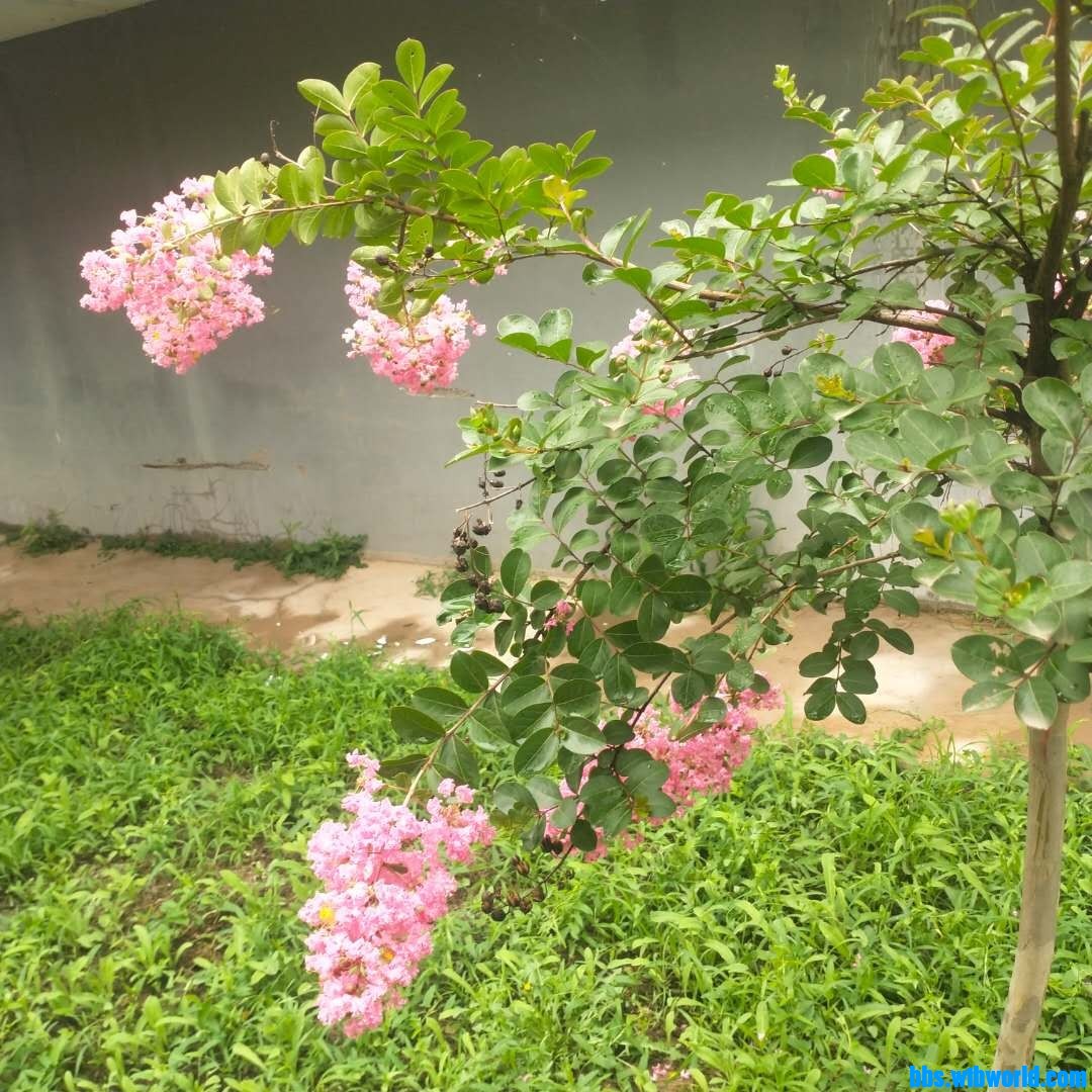 wechat_upload1627542244610252e474072