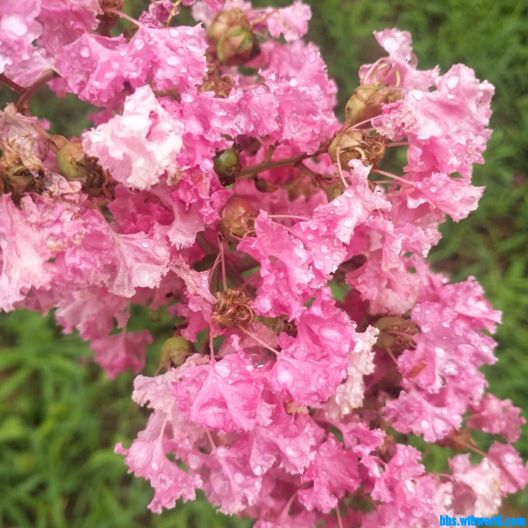 wechat_upload1627542244610252e4bdced