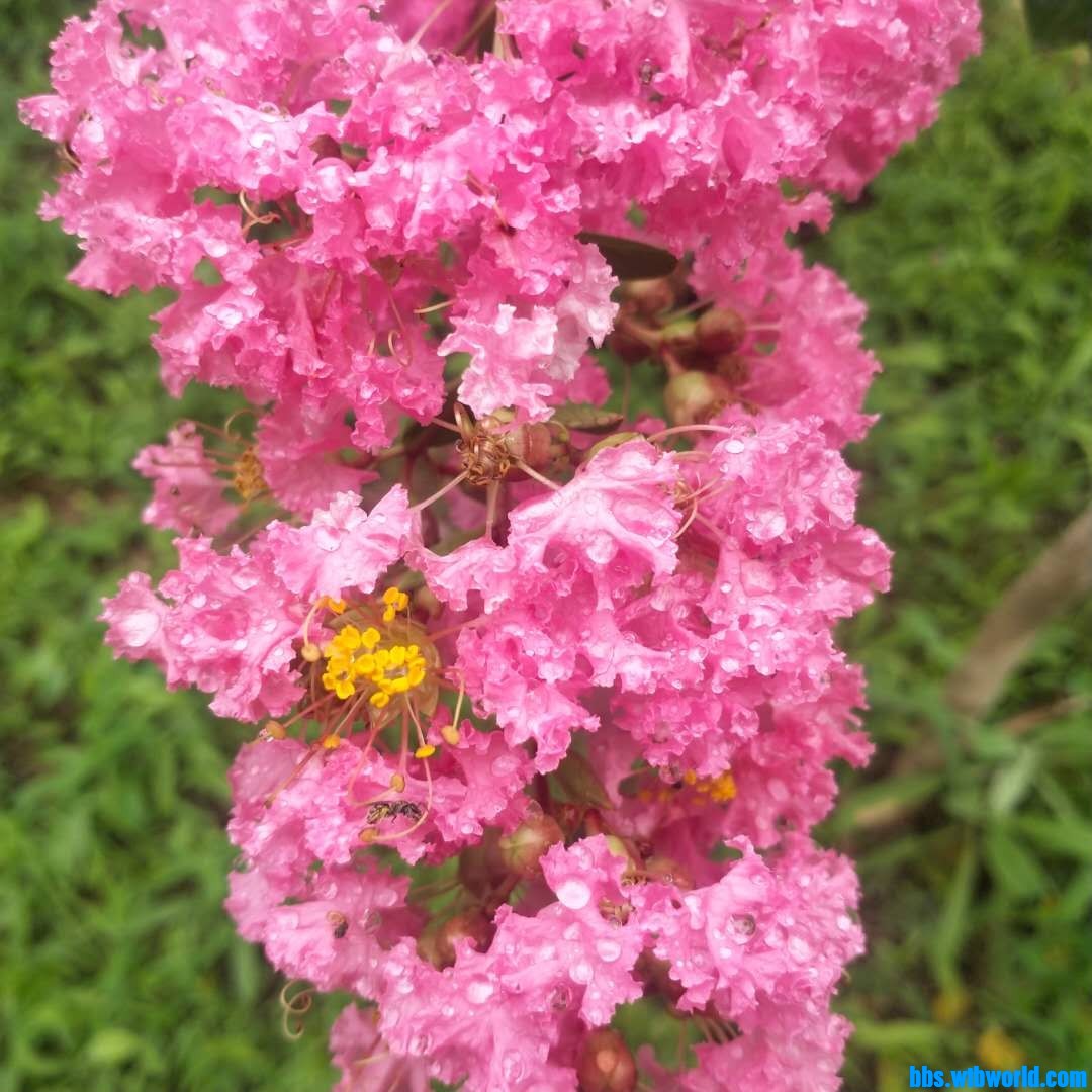 wechat_upload1627542245610252e509a11