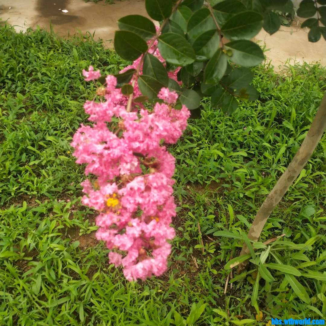 wechat_upload1627542245610252e55750e