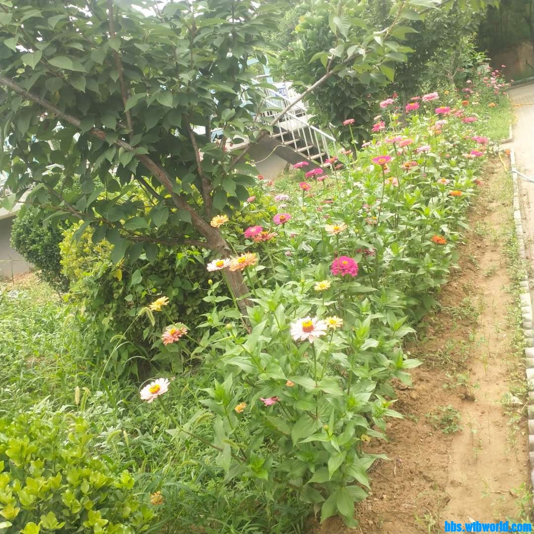 wechat_upload1627542461610253bd3528f