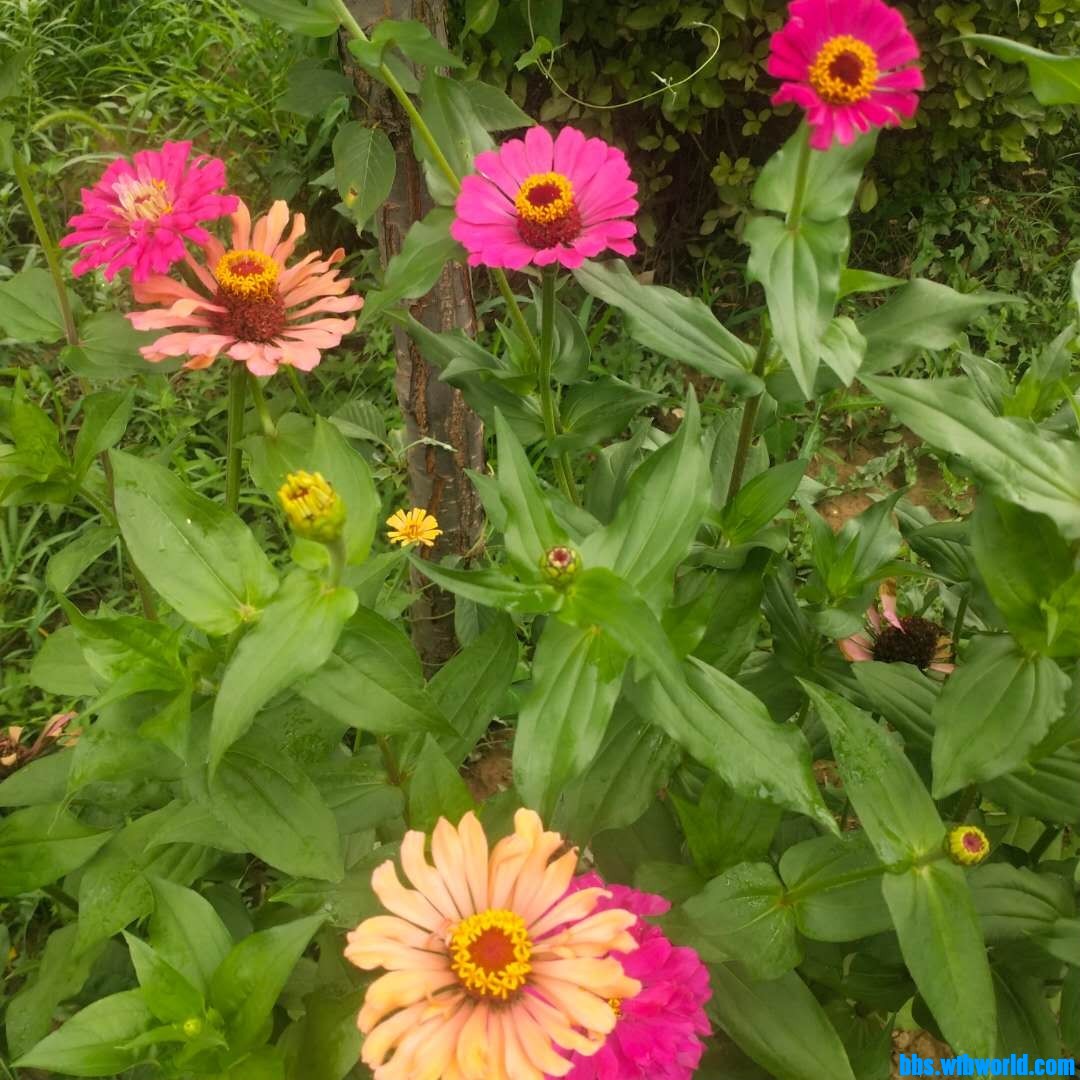 wechat_upload1627542461610253bdb48aa