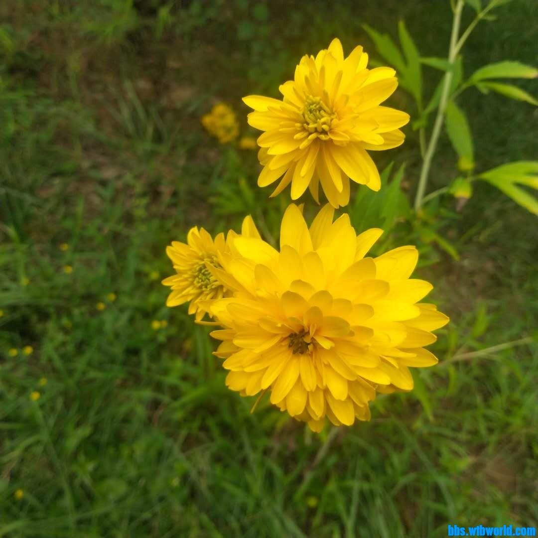 wechat_upload1627542462610253be413ca