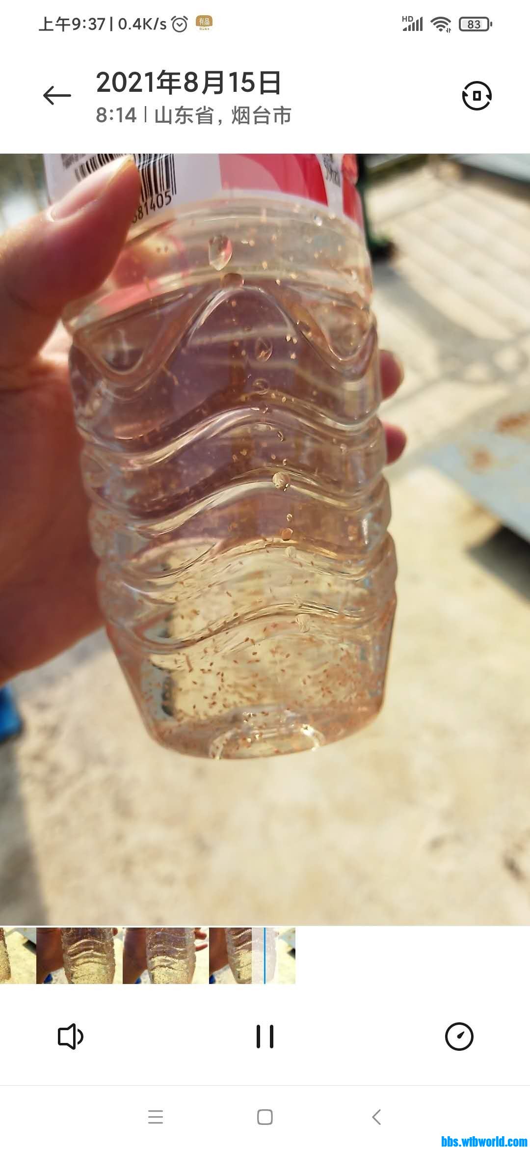 wechat_upload16289915146118701a274bc