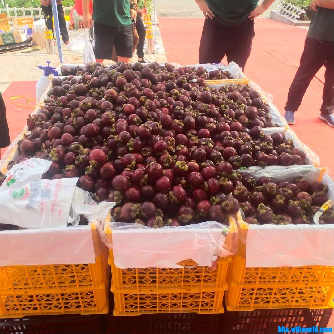 wechat_upload1629516989612074bdbff91