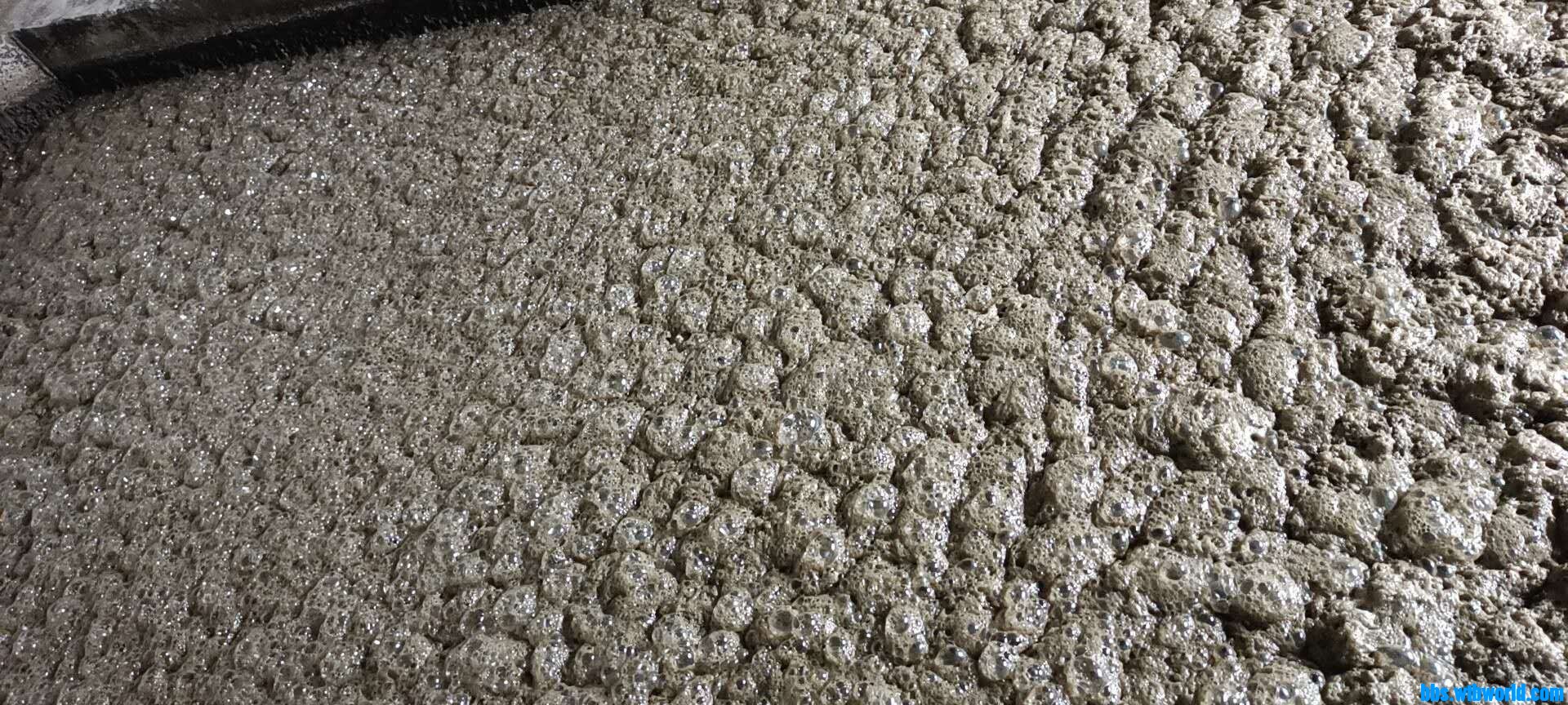 wechat_upload162971502861237a5470c82