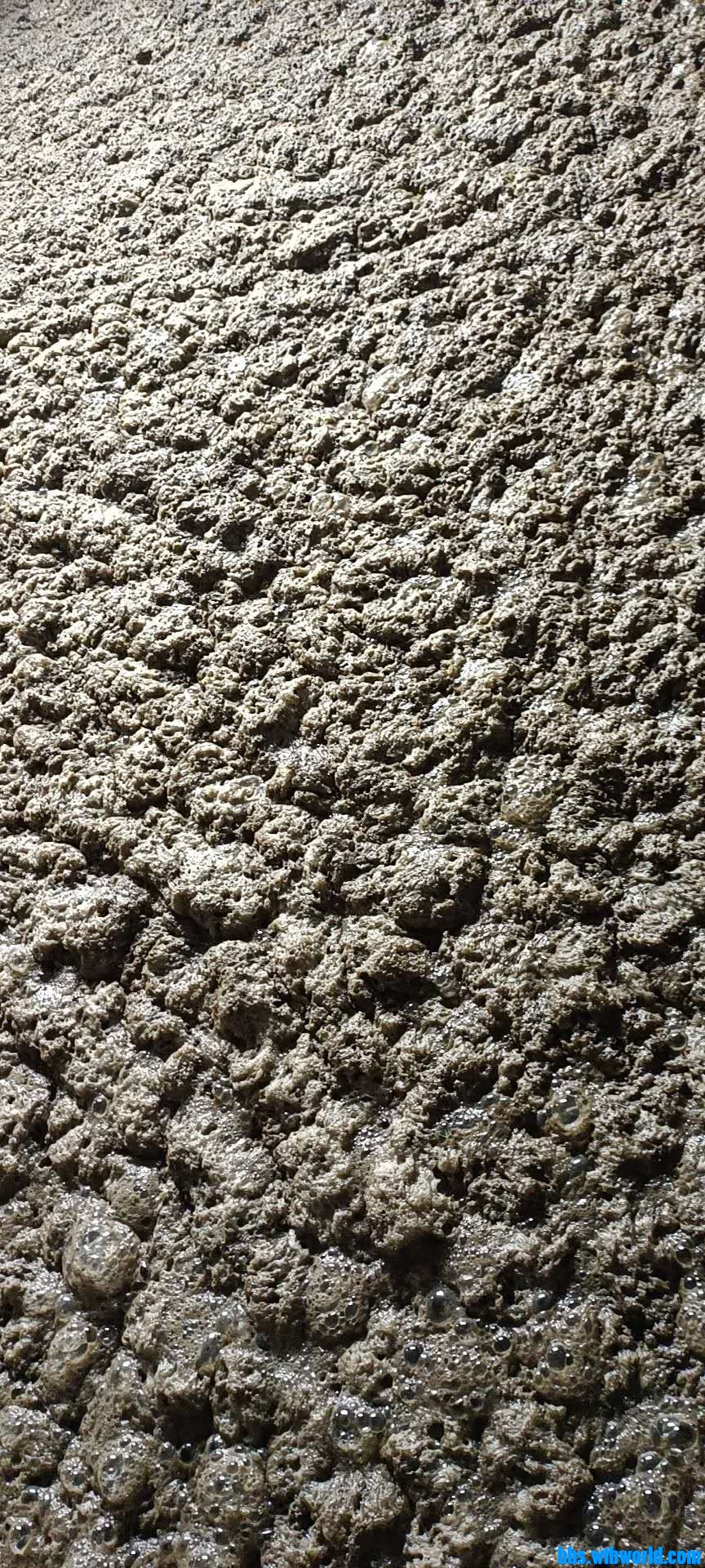 wechat_upload162971502961237a5505544