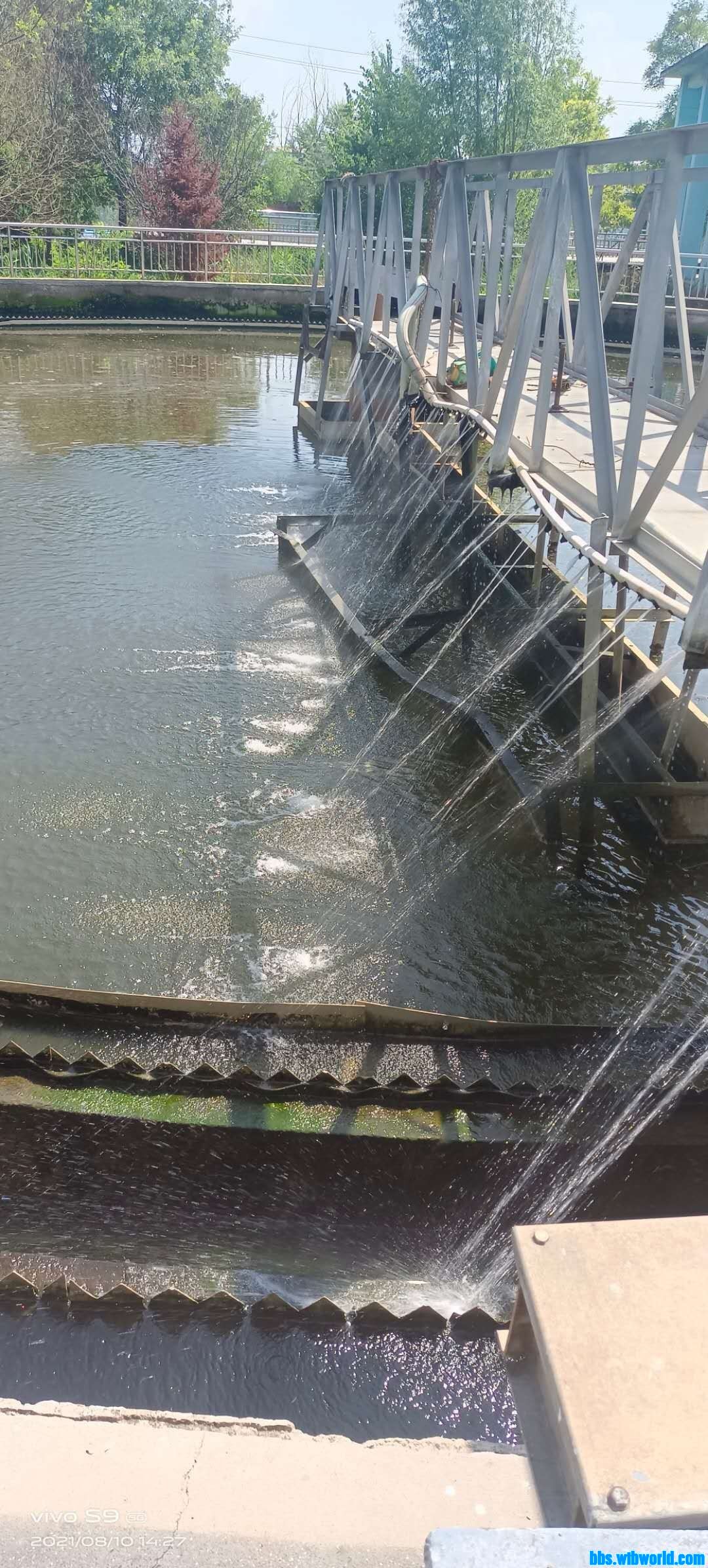 wechat_upload16299441096126f92d19853