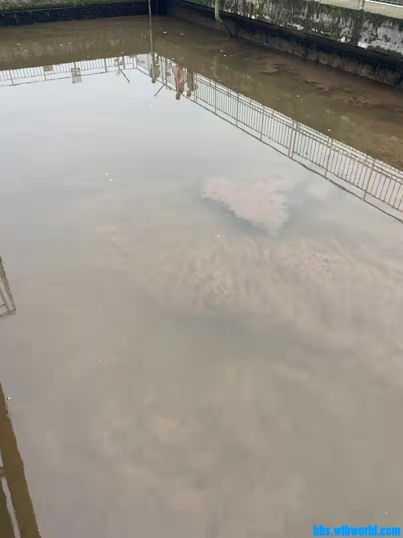 wechat_upload163093610761361c2b2a966