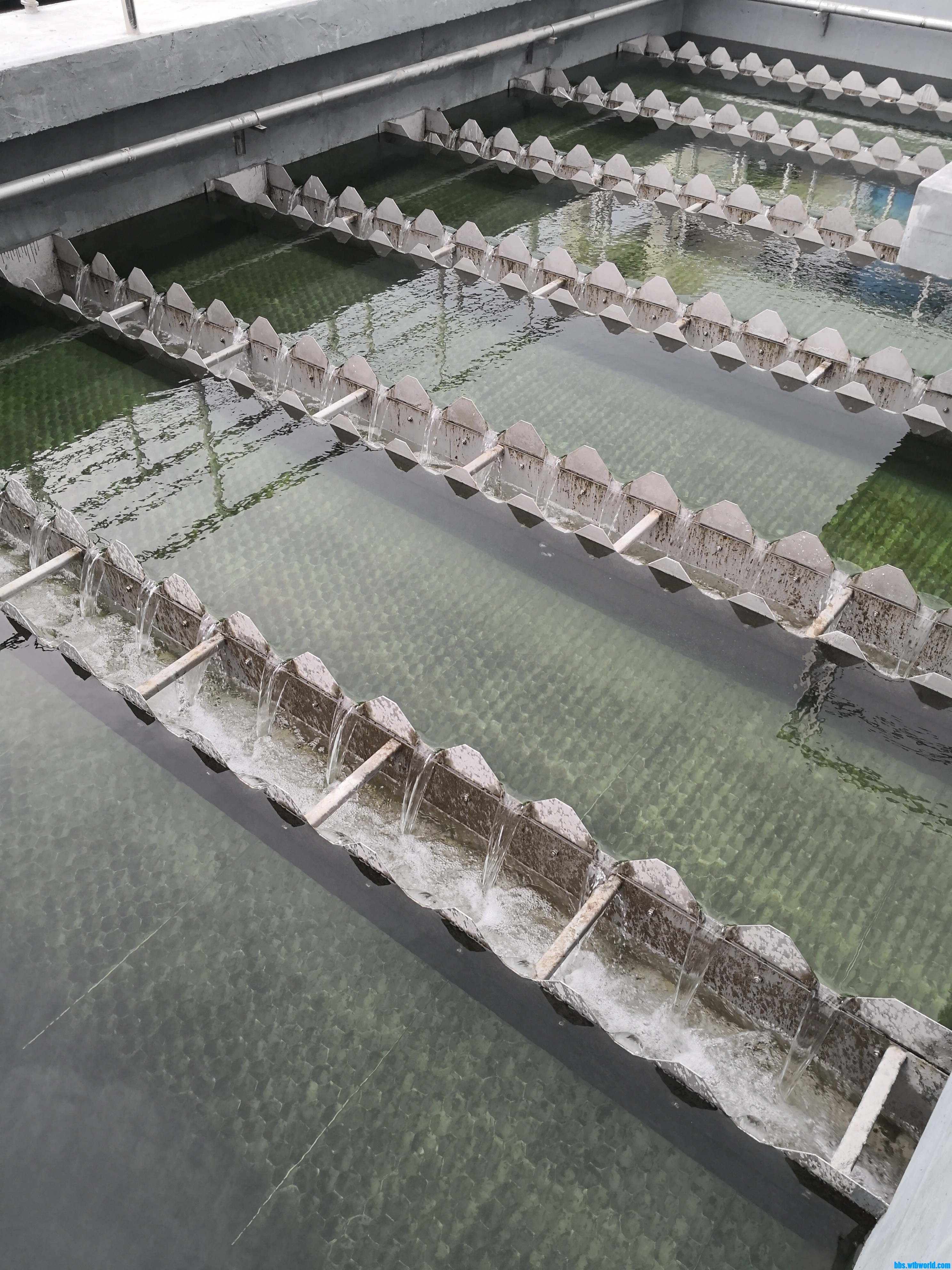 wechat_upload1630941861613632a536bac