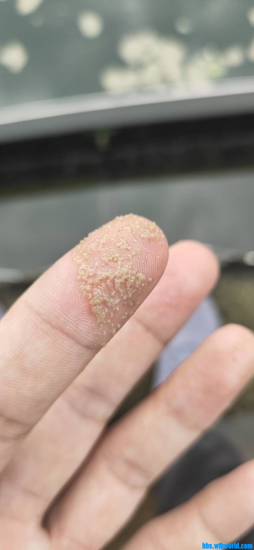 wechat_upload1631090174613875fe532ba