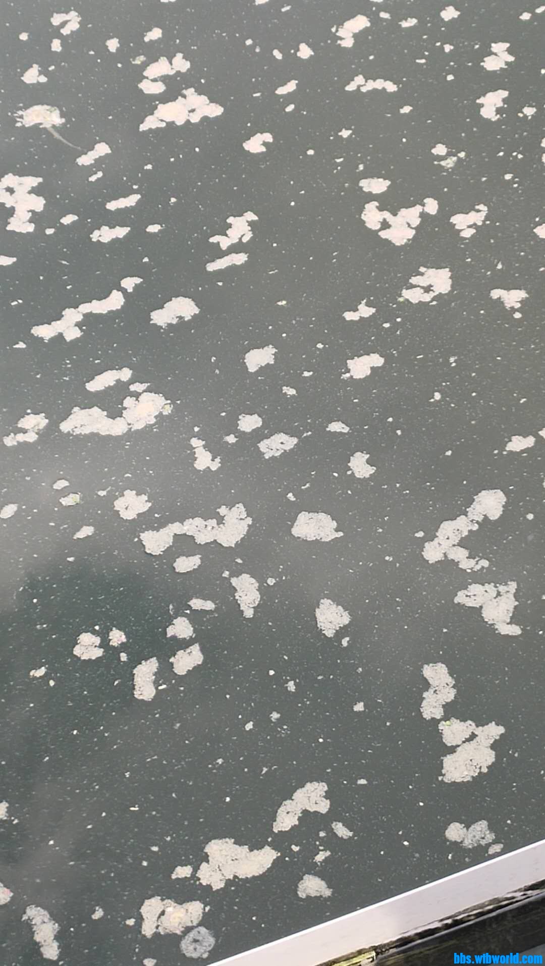 wechat_upload1631090174613875fe0a02d