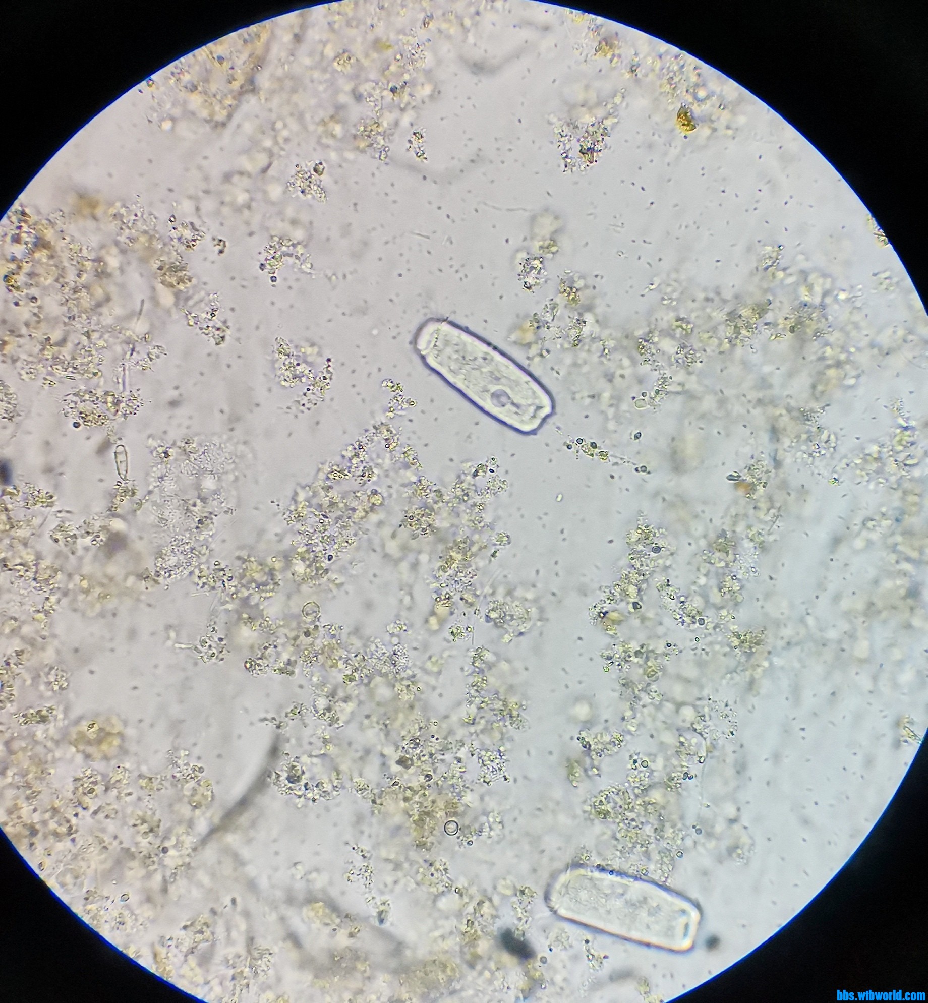 wechat_upload1631388588613d03ac558f8