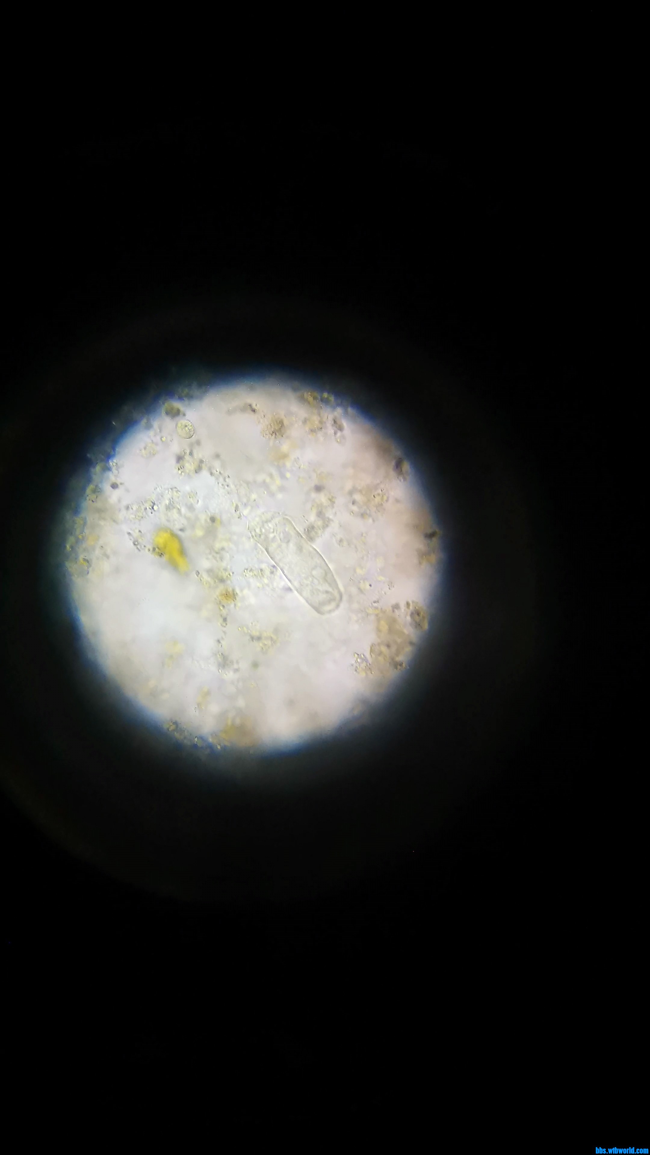 wechat_upload1631388601613d03b99f279