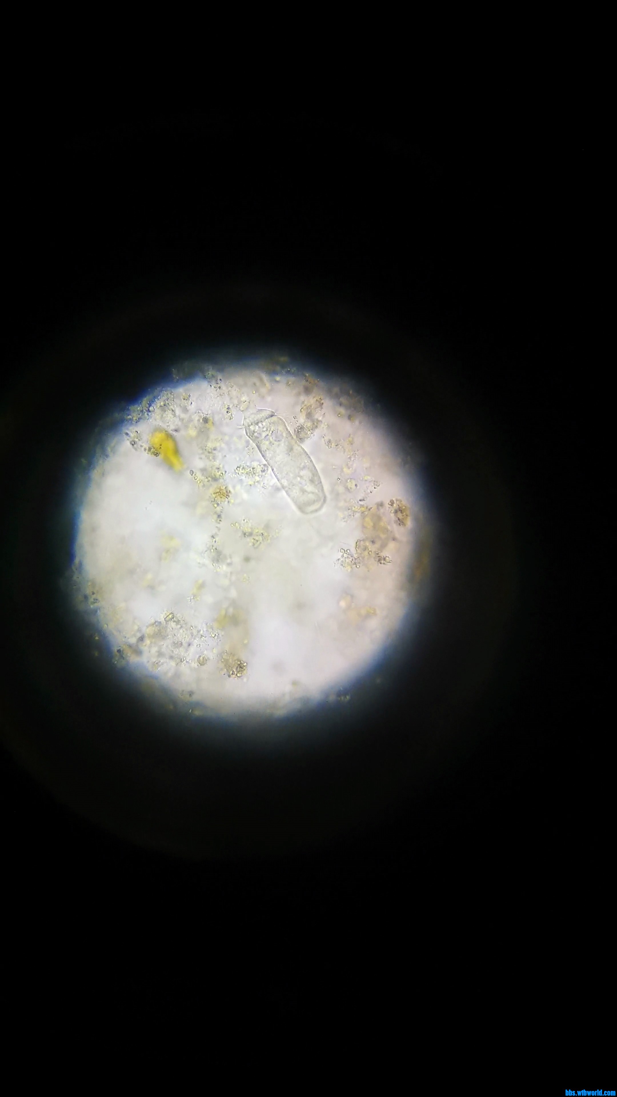 wechat_upload1631388607613d03bfe9c5f