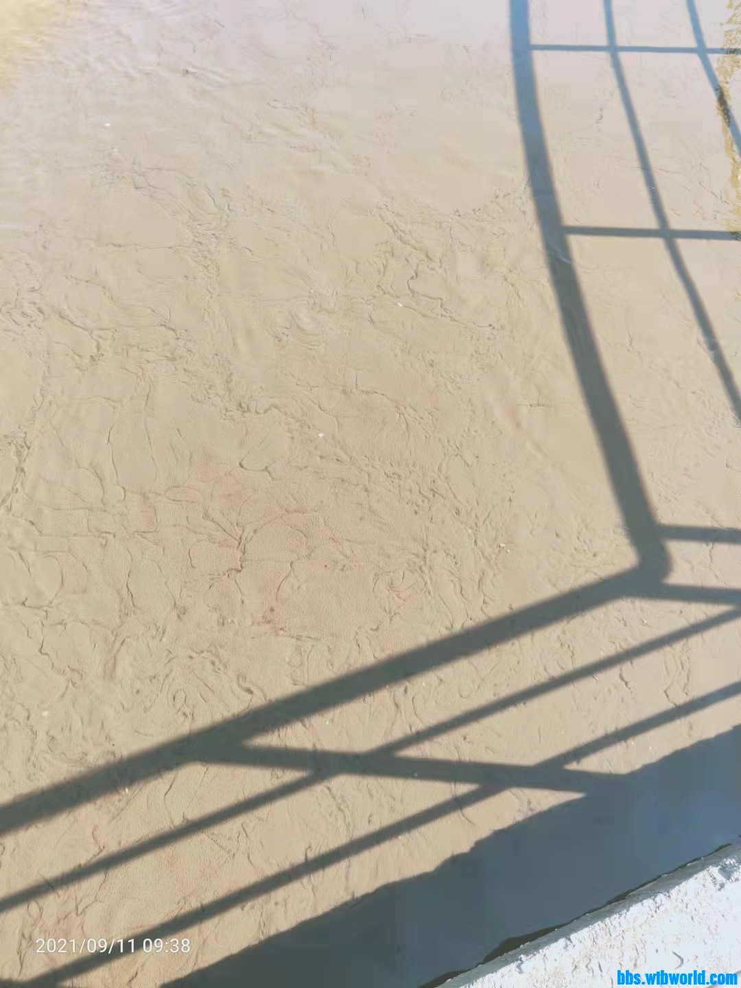 wechat_upload1631522473613f0ea9f0256