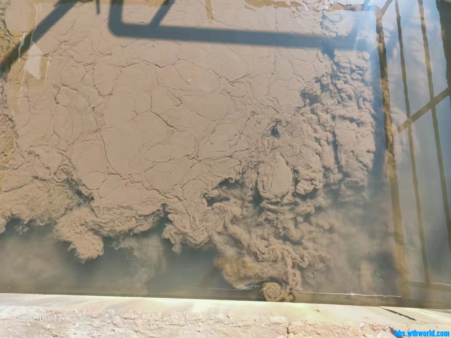 wechat_upload1631522474613f0eaa5ed78